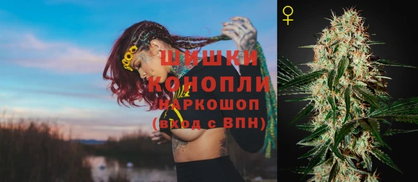 ECSTASY Пестово