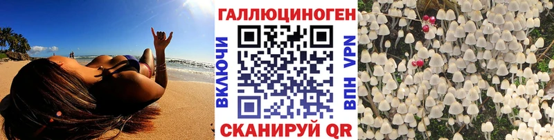 мориарти какой сайт  где найти наркотики  Севск  Галлюциногенные грибы Cubensis 